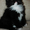 Котята в добрые руки - Изображение #1, Объявление #30959