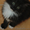 Котята в добрые руки - Изображение #3, Объявление #30959