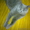Бритаские котята - Изображение #2, Объявление #42247