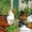 породная птица(куры,перепела) - Изображение #1, Объявление #359156