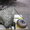 АКПП коробка автомат на Тойоту Короллу 1.6 бензин - Изображение #4, Объявление #374042