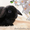 Кролики  #505527