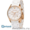 Emporio Armani мужские часы AR5860 - Изображение #2, Объявление #1344332