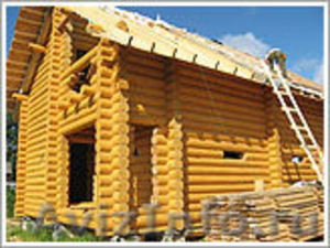 Строительство деревянных домов и бань - Изображение #1, Объявление #32173