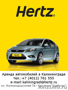 Аренда автомобилей HERTZ - Изображение #1, Объявление #39289