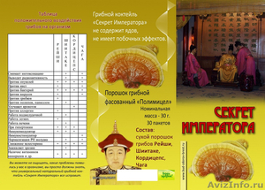 Лечебные грибы -питание и лекарство - Изображение #2, Объявление #346064