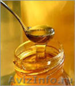 Продам мёд с личной пасеки 5000кг. - Изображение #1, Объявление #437820