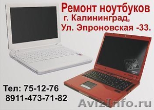 Качественный  ремонт ноутбуков в Калининграде. - Изображение #1, Объявление #666212