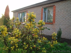 Продам дом в Калининградской области,Озерский р-н. пос.Нилово - Изображение #2, Объявление #1096802