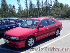 Nissan Primera 1.61995г, 1.6 бенз (75 л.с.) 5-КПП - Изображение #1, Объявление #485